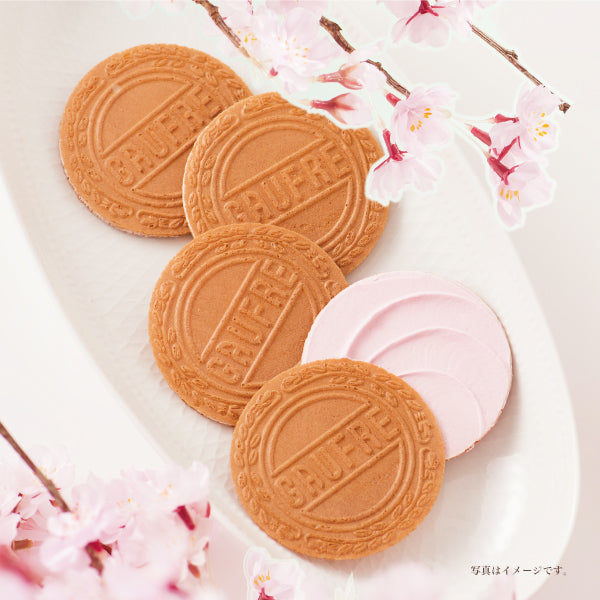 Sakura Goufre